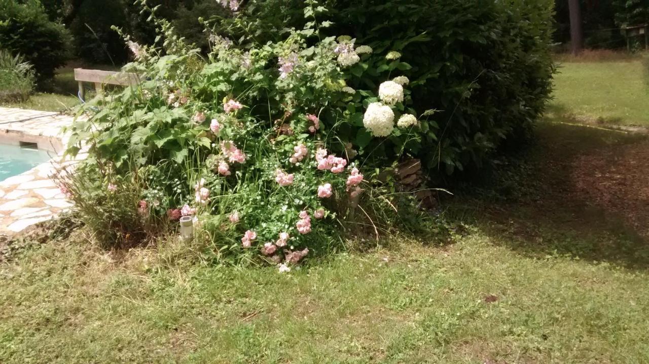 La Bousquatiere Bed and Breakfast Piolenc Buitenkant foto