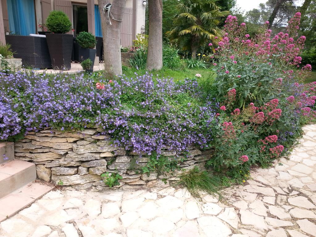 La Bousquatiere Bed and Breakfast Piolenc Buitenkant foto
